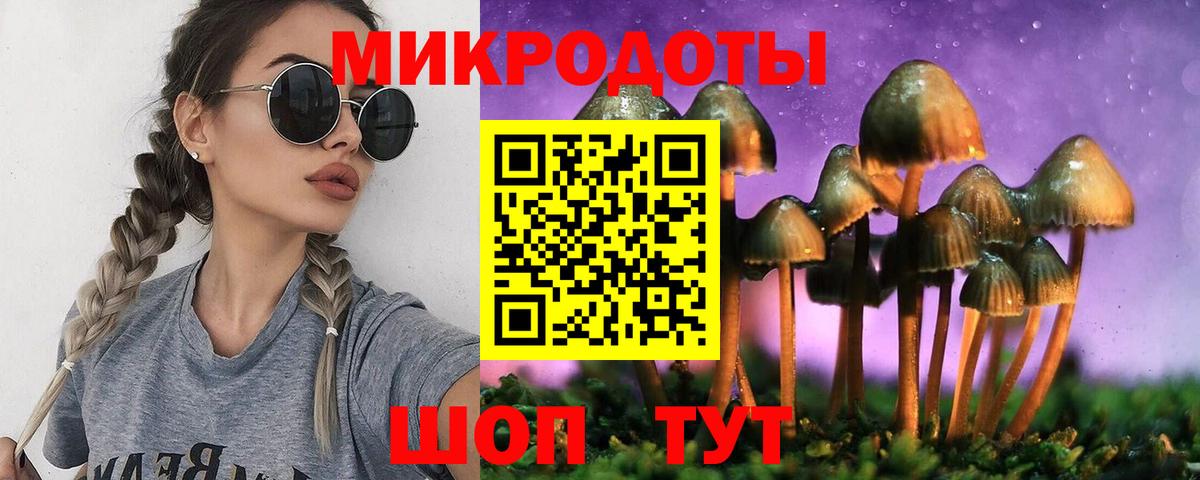Элиста  Псилоцибиновые грибы Psilocybe  Псилоцибиновые грибы GOLDEN TEACHER  Вход с VPN 