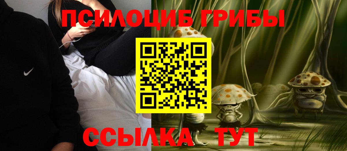 Псилоцибиновые грибы ЛСД Элиста